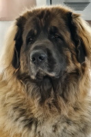Cara-Mia mit 5 Jahren Cara-Mia mit 5 Jahren