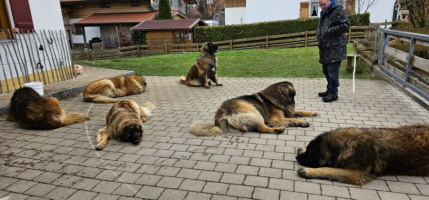 3 Generationen Treffen 2025 3 Generationen Treffen 2025